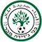 Escudo Maccabi Bnei Jadeidi