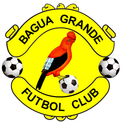 Bagua Grande
