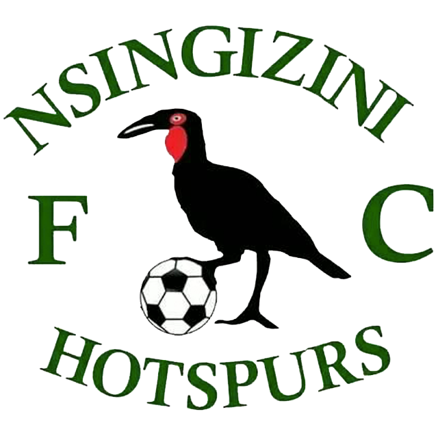 Nsingizini Hotspurs