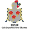 Zizur B
