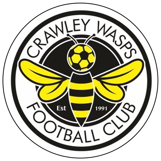 Crawley Wasps W