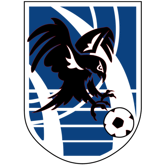 Fuenlabrada Falcons B