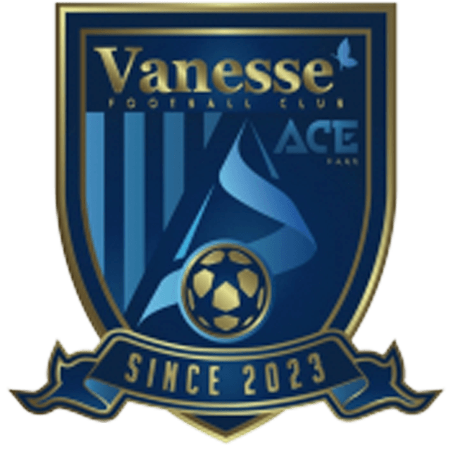 Sejong Vanesse FC