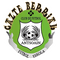 Gazte Berriak U12