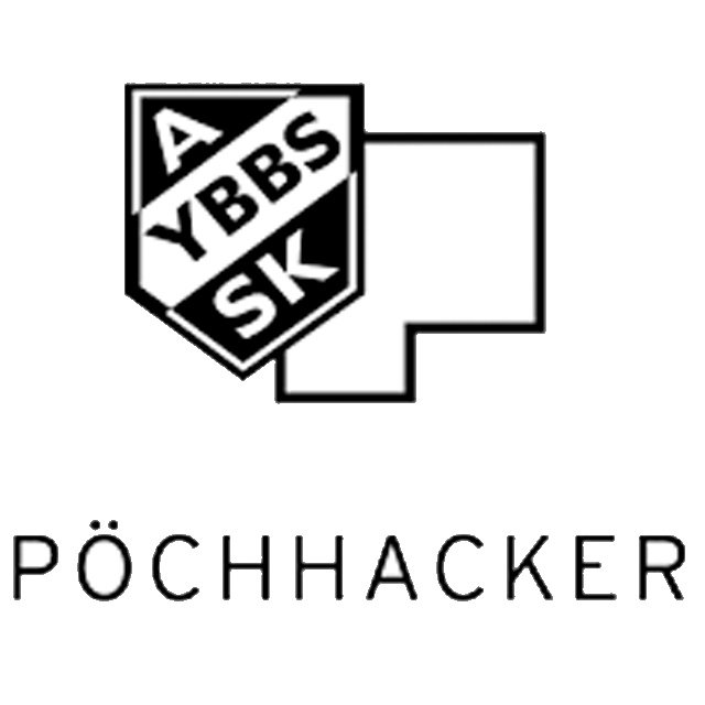 Bau Pochhacker Ybbs