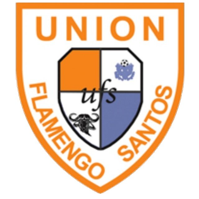 Flamingo Santos