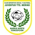 Teniente Merino