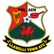 Llanelli AFC