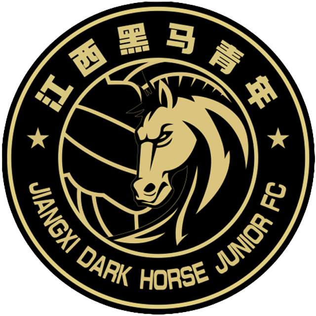 Jiangxi Dark Horse