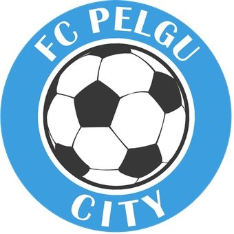 Pelgu City