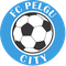 Pelgu City