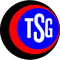 Escudo TSG Hofherrnweiler-Unterrom