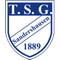 Escudo TSG Sandershausen