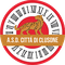 Città di Clusone