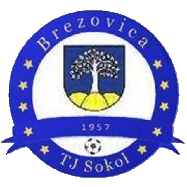 Sokol Brezovicka