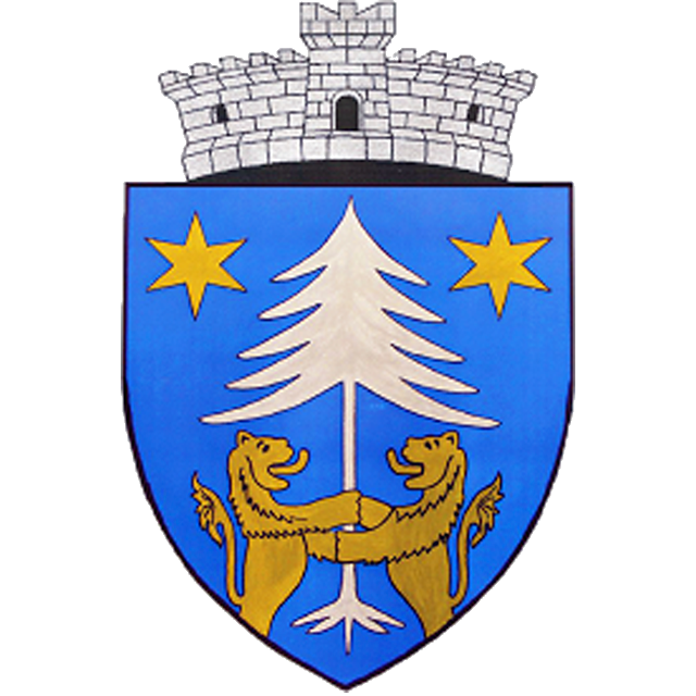 Stăruința Zagon