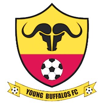 Young Buffaloes