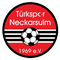 Escudo Türkspor Neckarsulm