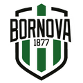 Viven Bornova FK