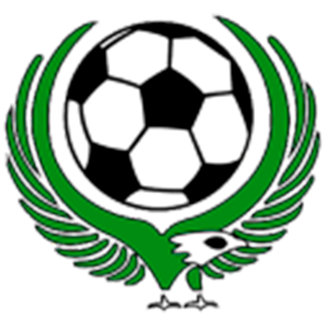 Dalnerechensk FK