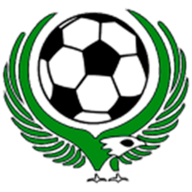 Dalnerechensk FK