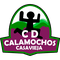 Escudo CD Casavieja