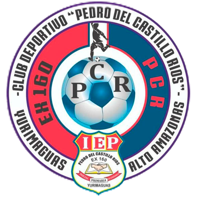 Pedro del Castillo Ríos