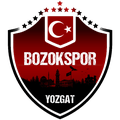 Yozgat Bld Bozokspor