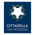 Cittadella Vis Modena