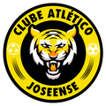 Joseense Sub 17