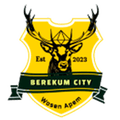Berekum City