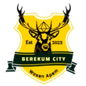 Berekum City