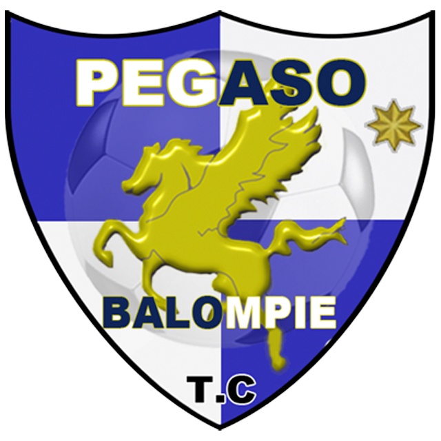 Pegaso Tres Cantos B