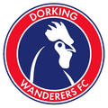 Escudo Dorking Wanderers