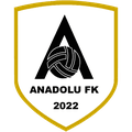 Anadolu Futbol Yatırımla