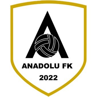Anadolu Futbol Yatırımla