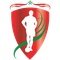 AMF U19