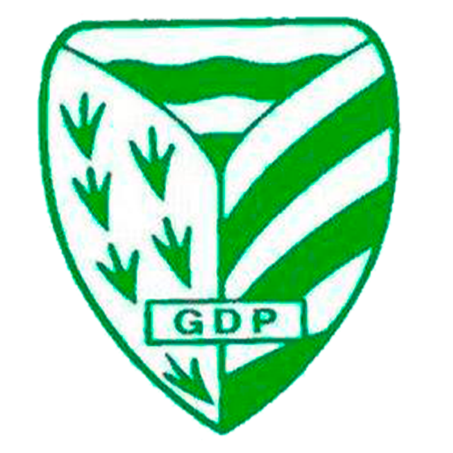 Pelariga U19