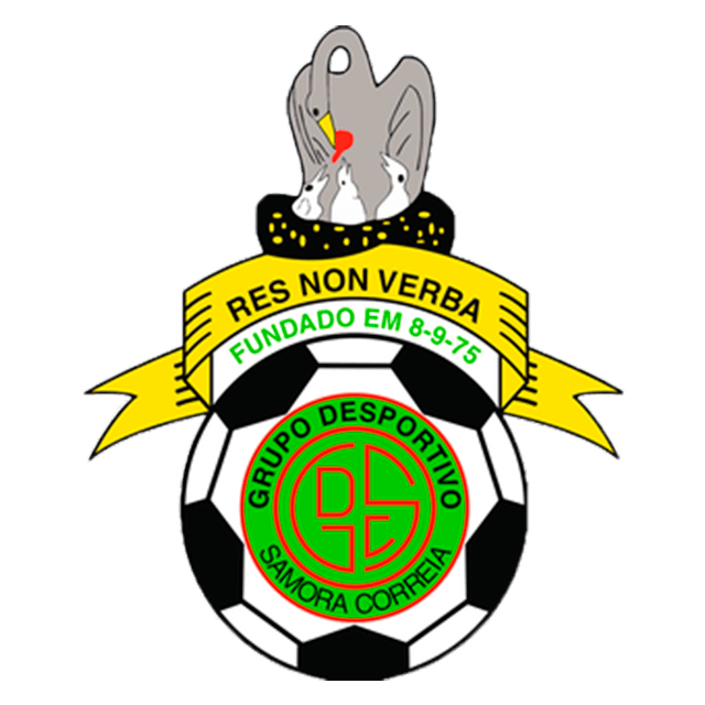 Escudo 