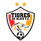 Tigres de Álica