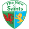The New Saints U19