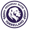 Promesas Elche - Torrellano