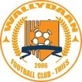 Escudo del Wally Daan