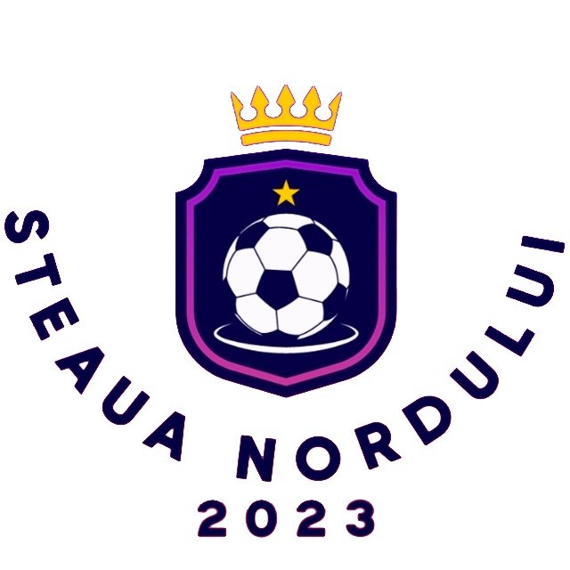 Steaua Nordului