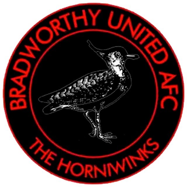 Bradworthy WFC