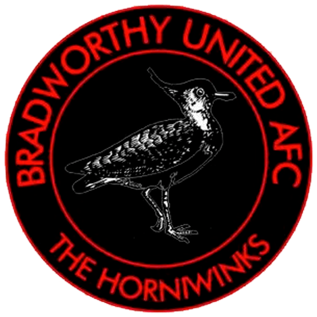 Bradworthy WFC