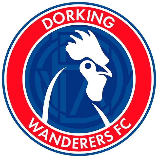 Dorking Wanderers Ladies