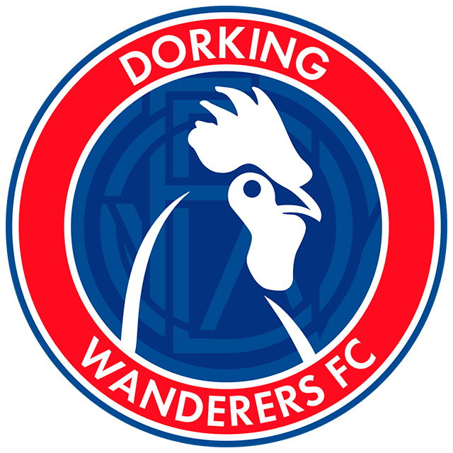 Dorking Wanderers Ladies