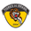 Tigres do Brasil