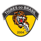 Tigres do Brasil